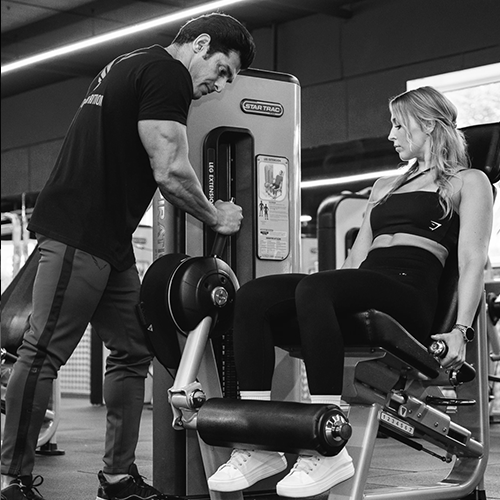500x500 PT